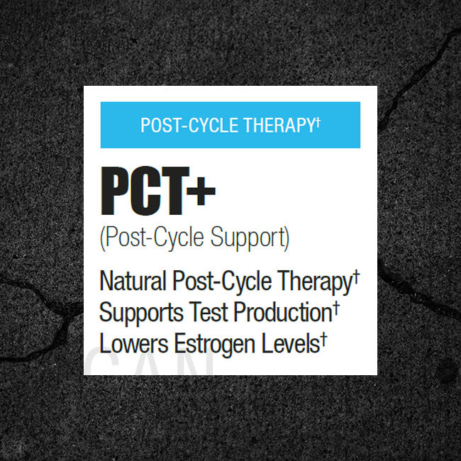 PCT - Matrix Labs