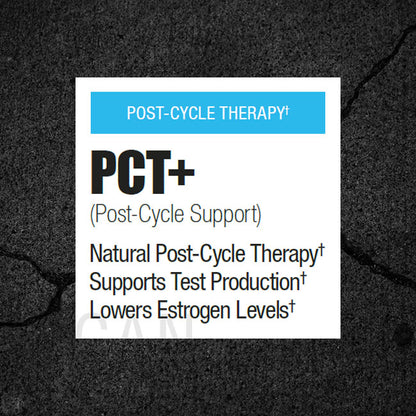 PCT - Matrix Labs